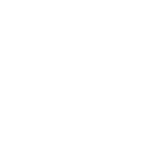 NEVONI