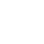 VSM